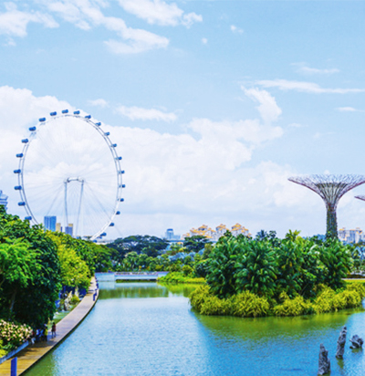 短时间内突破AEIS考试单词难点