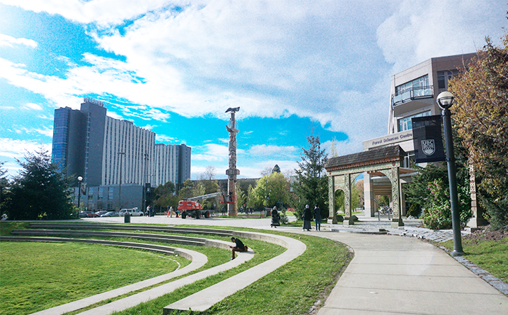 如何适应从国内课程体系转向国际课程体系？