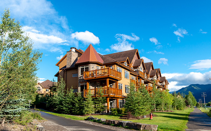 选了这些加拿大文科专业，你会发现惊喜不断！