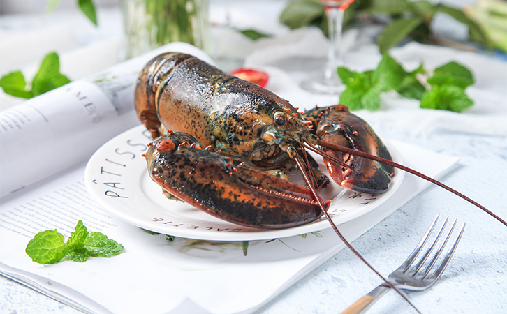 关于485签证，想要获签的你要注意~