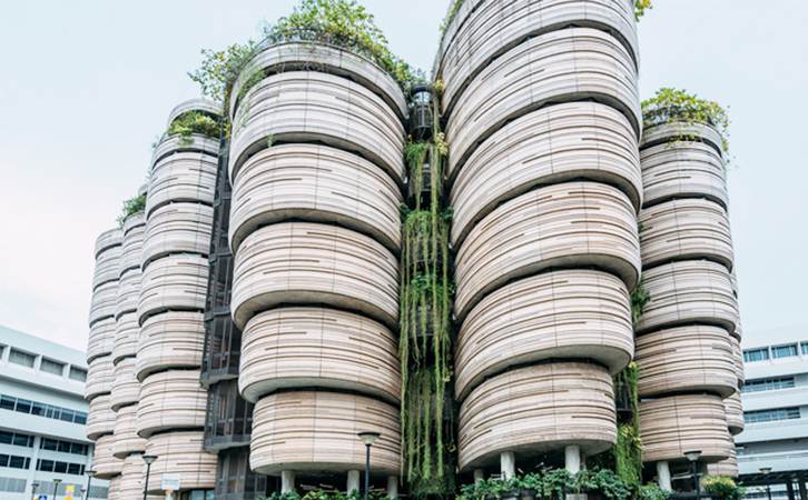 新加坡更多院校获得认证资格！