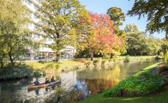 新西兰八大2021年本科申请要求