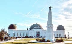 拜登即将上任，放宽H1B签证限额？留学生的春天要来了？