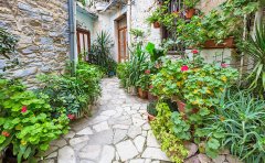 《中国留学发展报告（2020～2021）》出炉