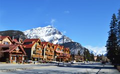 加拿大再向这两类人开放移民通道，您符合要求吗？