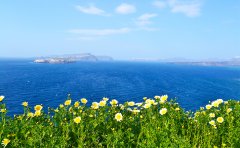 出国留学的目的是什么？