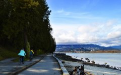 滑铁卢大学热门专业有哪些