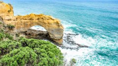 悉尼大学申请要求有哪些?