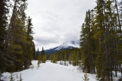 加拿大出国留学申请流程