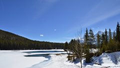 加拿大艺术学校有哪些