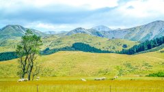 加拿大留学申请需要什么材料和条件要求