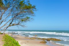 加拿大哪个城市适合留学