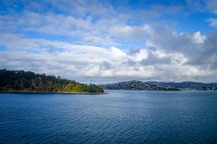 新西兰不需本科背景的硕士专业