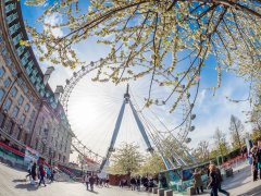 英国留学商科申请条件和院校推荐