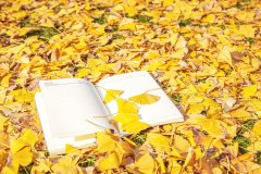 加拿大春季入学和秋季入学区别是什么