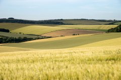 英国留学申请难度最高的大学有哪些学校