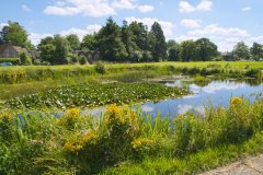 24Fall新加坡商学院硕士申请开放了，你符合申请要求吗？