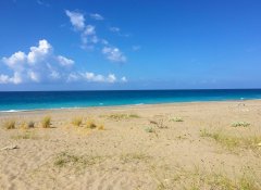 2024年英本申请正式开始，那英国院校何时开始发offer呢？