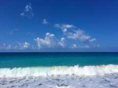 新西兰留学八大及硕士申请要求