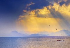 新西兰留学申请条件和时间规划！