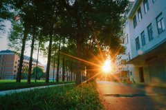 香港大学公布“学历打假”细节详情！想申请香港高校，到底要做好哪些准备？