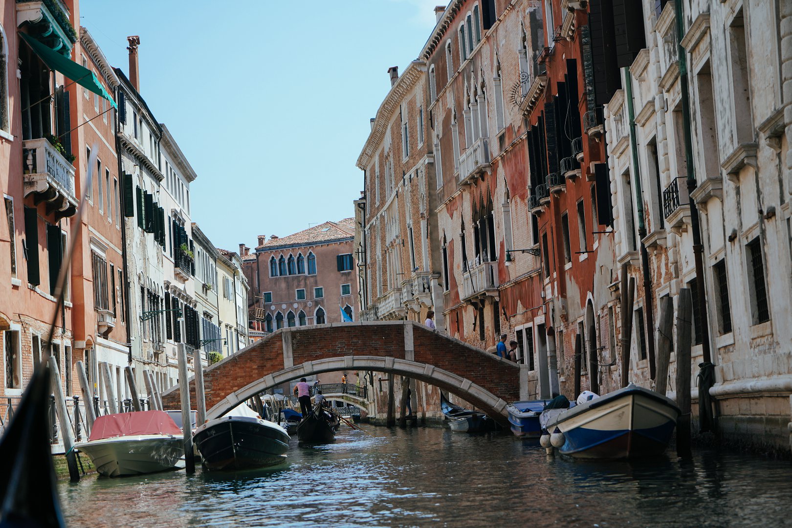 美国波士顿大学,波士顿大学