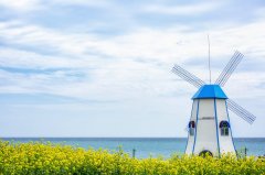 加拿大本科申请有多难？如何提高成功率？揭秘申请秘籍！