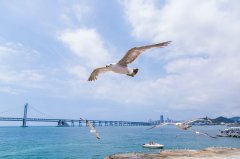 高中生留学加拿大：本科申请全流程与关键注意事项！