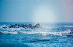 美国研究生申请条件：不同学科的特殊要求你了解吗？