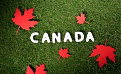 加拿大学签迎重大调整，申请量设置上限？硕博生申请学签前需要提交……