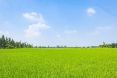 2025年英国留学专业选择：不容错过的热门趋势