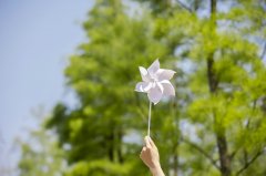 高考与留学双轨并行：如何做出最优决策