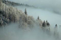 新加坡硕士留学：公立与私立大学的申请攻略