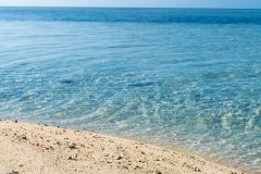 2025年THE亚洲大学排名：香港六校跻身50强，香港研究生申请优势凸显