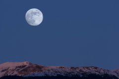 理工科留学攻略：计算机、工程、物理专业选择指南