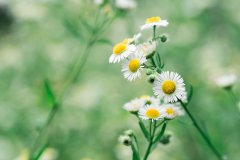 低龄学生新加坡留学指南：家长关心的那些事