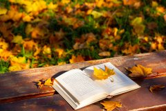 别人家孩子都在冲！澳门本科的“神仙专业”大盘点?