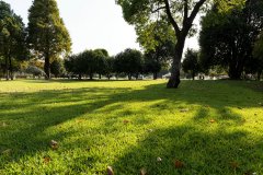 双非背景如何逆袭加拿大TOP10？这些细节决定成败！