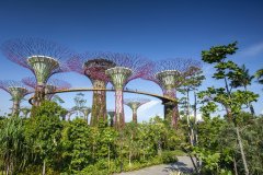 新加坡管理大学(SMU)商科为什么强？