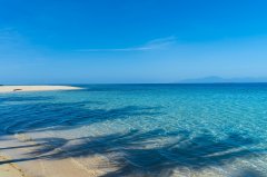 高考+留学双规划：如何让孩子“进可攻退可守”？